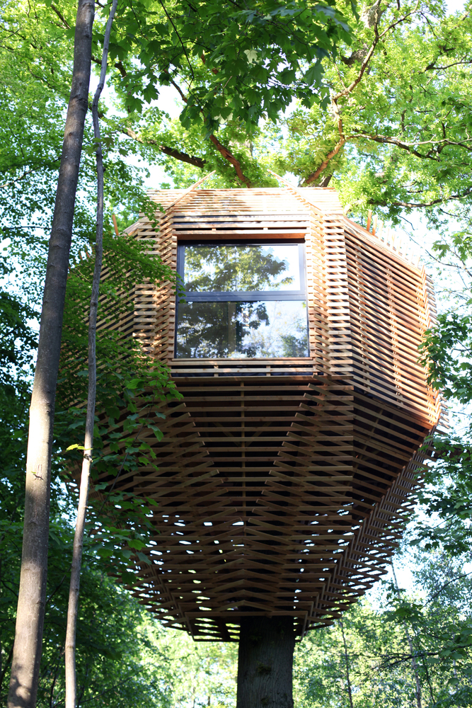 ORIGIN Tree House 11 1