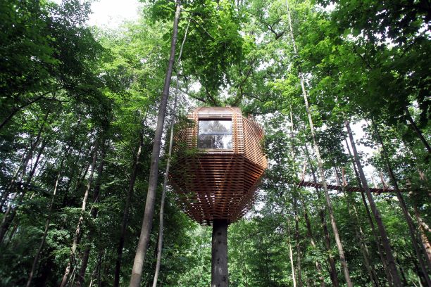 ORIGIN Tree House 13