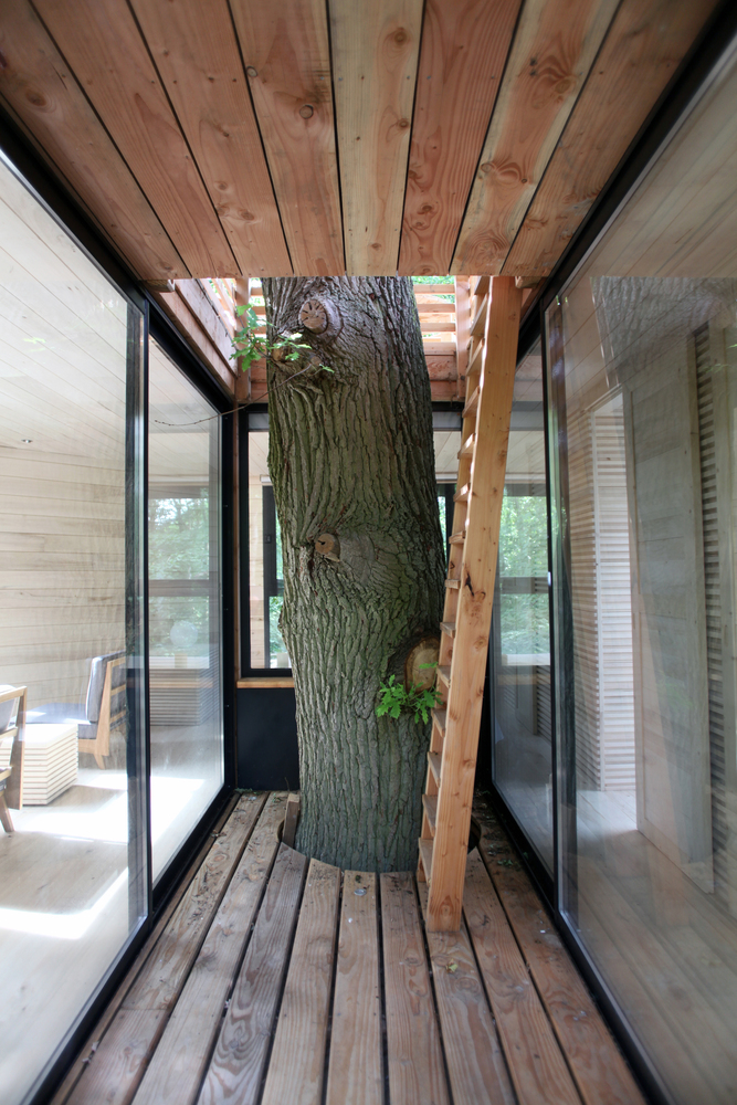 ORIGIN Tree House 14 1