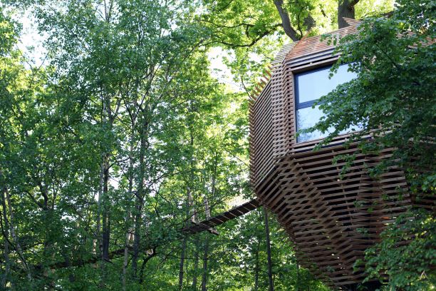 ORIGIN Tree House 2